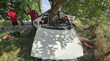 Homem morre em despiste contra árvore em Ponte de Sor