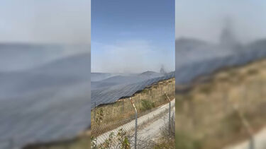 Incêndio junto a central solar em Alcoutim mobiliza três meios aéreos 