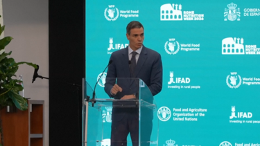 “Hoje em dia, a fome é uma arma”: Pedro Sánchez alerta para impacto das guerras 
