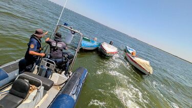 Cinco embarcações apreendidas no rio Tejo em operação contra apanha ilegal de amêijoa-japonesa