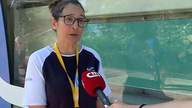 “A Molly é o nosso novo hóspede”: colaboradora fala sobre tartaruga que chegou ao Zoomarine de Albufeira recentemente