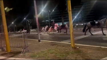 Dezenas de cavalos invadem uma das avenidas mais movimentadas de Roma