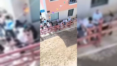 Touro solta-se e fere pelo menos três pessoas na Azambuja