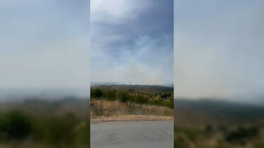 Incêndio lavra em zona de mato em Alcoutim