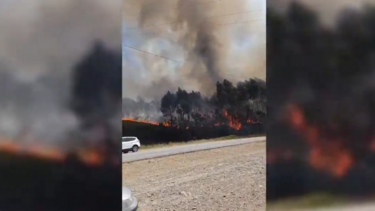 Quatro meios aéreos e mais de 80 operacionais combatem incêndio em Alfena