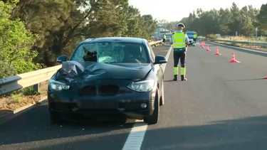 Carro despista-se e mata homem que andava a pé na A8 nas Caldas da Rainha