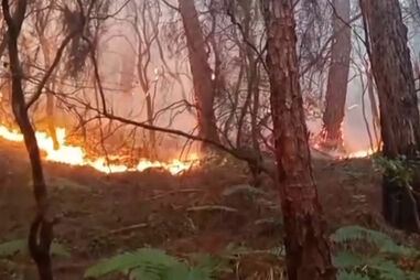 Incêndios 