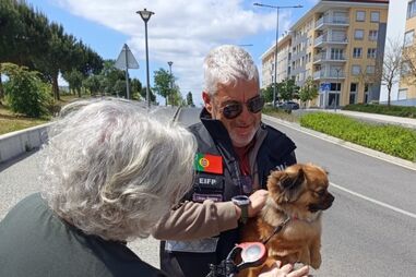 Operação Planeta Azul. PSP resgata 31 animais e deteta mais de 50 infrações ambientais