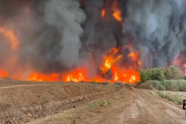 Incêndio florestal no Arizona consome quase 400 hectares 
