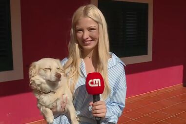 Conheça o projeto "Patas à Roda" 