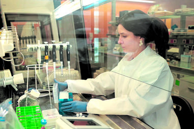 Investigação 'Made in Portugal': a ciência que quer transformar ideias em inovação
