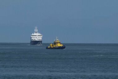 Navio cruzeiro atingido por surto de hantavírus chega ao porto de Roterdão para desinfeção 