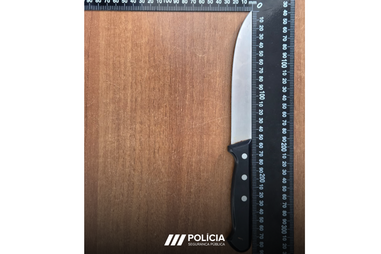 Aluno do Montijo levou faca de 29 cm para escola
