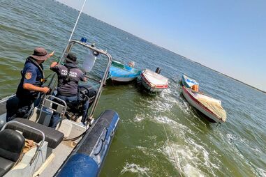 Cinco embarcações apreendidas no rio Tejo em operação contra apanha ilegal de amêijoa-japonesa