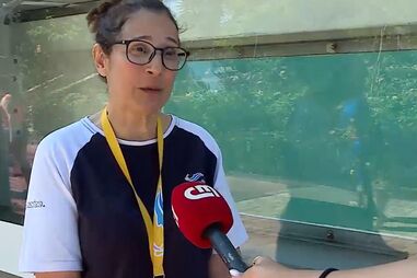 “A Molly é o nosso novo hóspede”: colaboradora fala sobre tartaruga que chegou ao Zoomarine de Albufeira recentemente