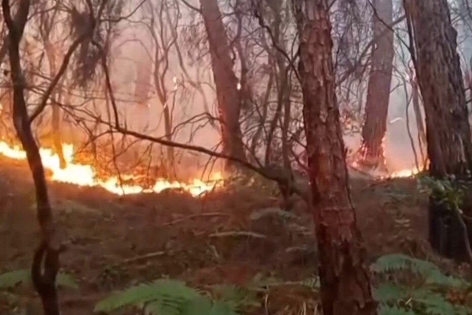 Incêndios florestais na Itália forçam moradores a evacuar casas