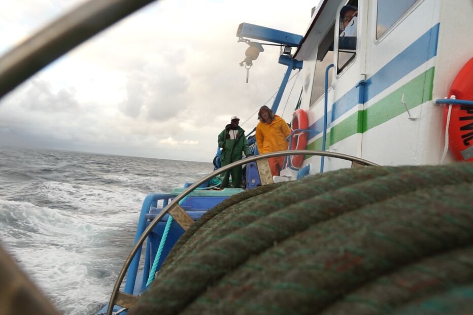 Reabertura época da pesca da sardinha 2026