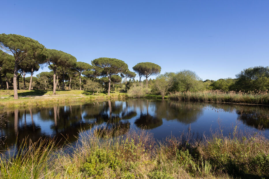 C-Studio Herdade de Espirra-317.jpg