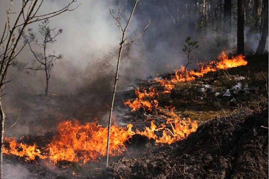Incêndio florestal perto de Chernobyl após impacto de drone
