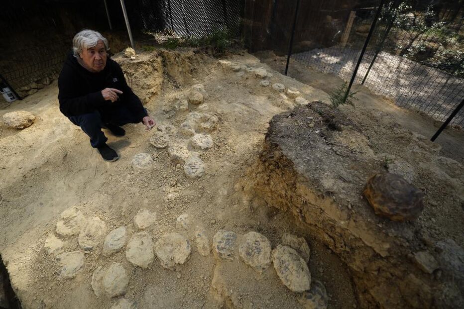 Ovos de dinossauros  com mais de 72 milhões de anos descobertos por  Alain Cabot,