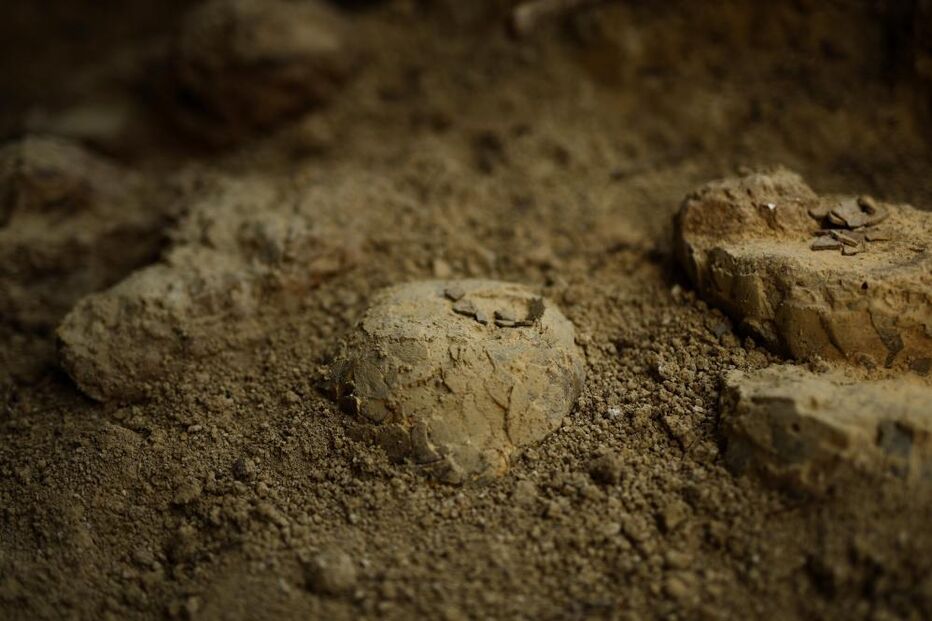 Ovos de dinossauros  com mais de 72 milhões de anos descobertos por  Alain Cabot,