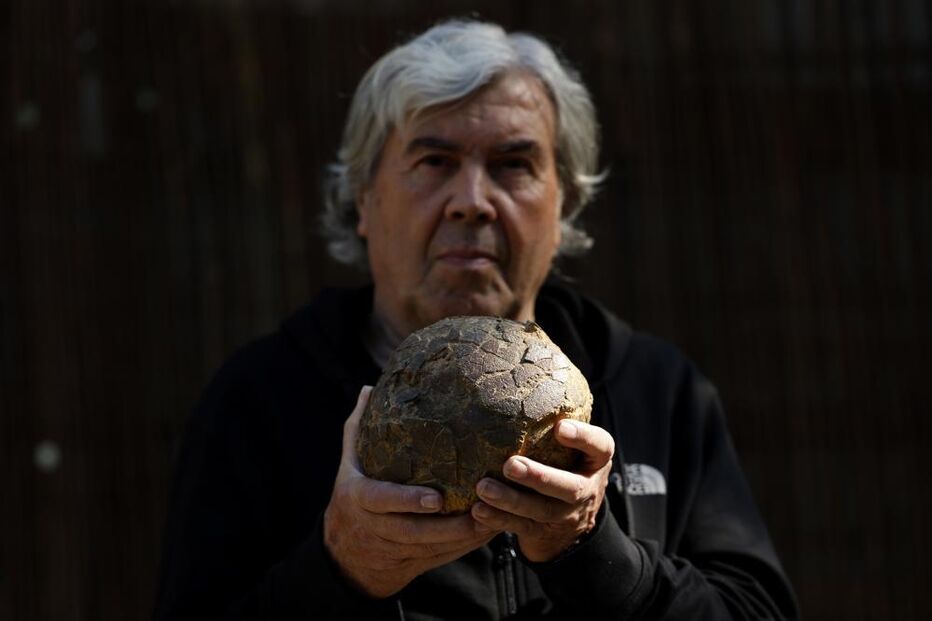 Ovos de dinossauros  com mais de 72 milhões de anos descobertos por  Alain Cabot,