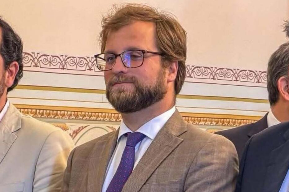 D. Afonso de Bragança 