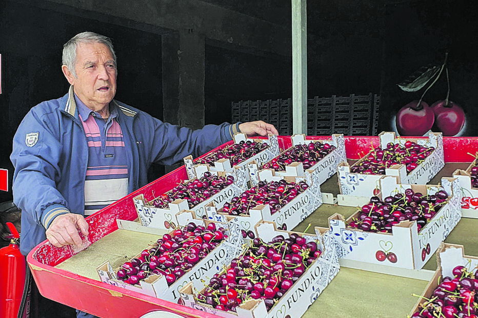Cerejas do Fundão são vendidas num mercado local