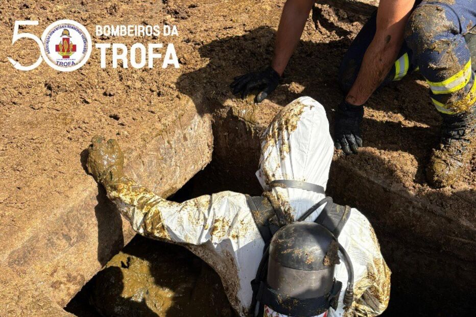 Bombeiros da Trofa resgatam vaca caída em poço, operação concluída com sucesso