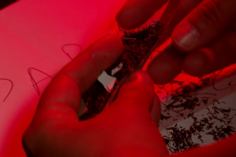 Folha com droga K4 pode render entre os dois a quatro mil euros