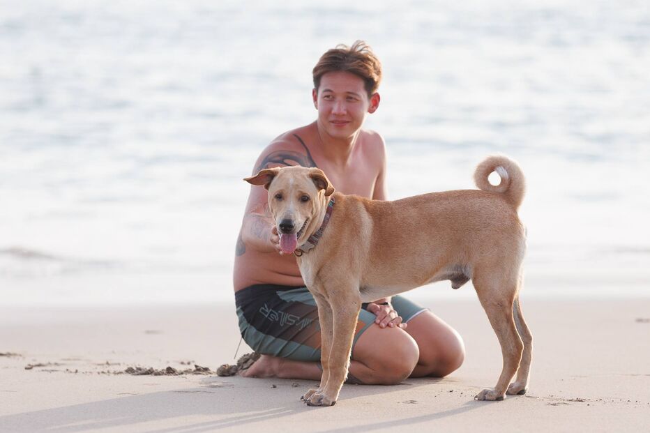 Homem e cão aproveitam dia de sol na praia