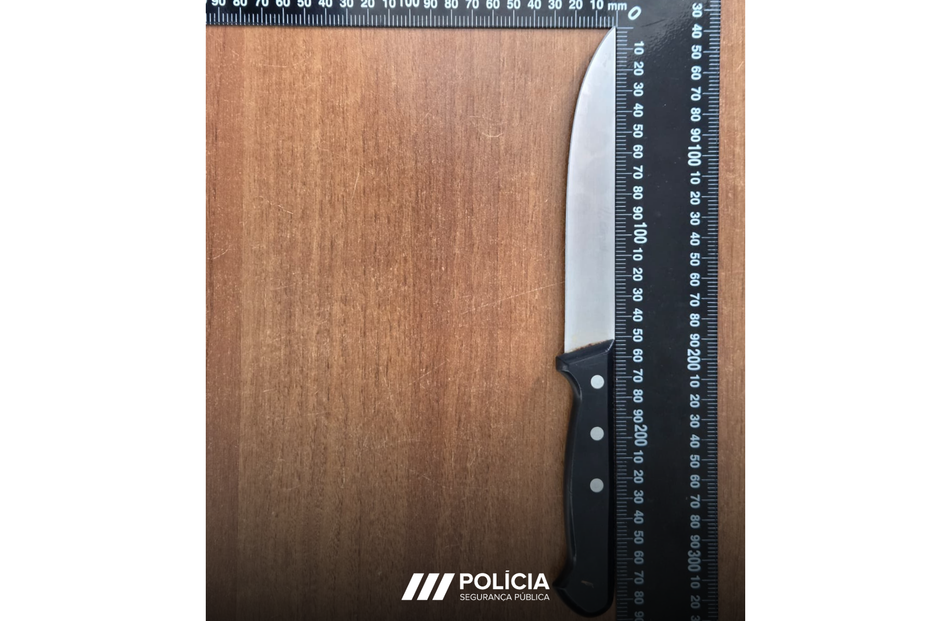 Aluno do Montijo levava faca de 29 cm para escola