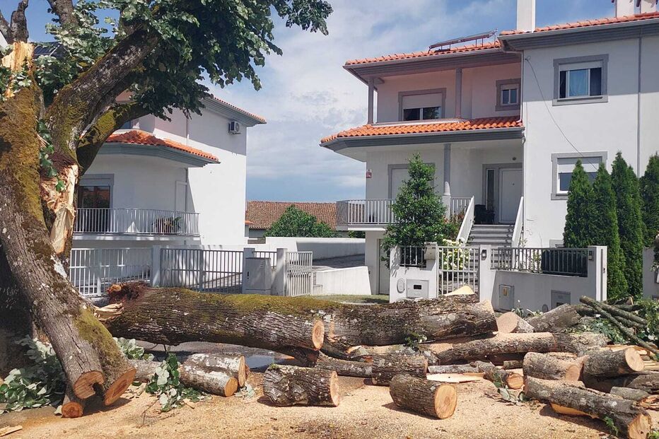 Mau tempo registado nas últimas horas provocou vários estragos no distrito.