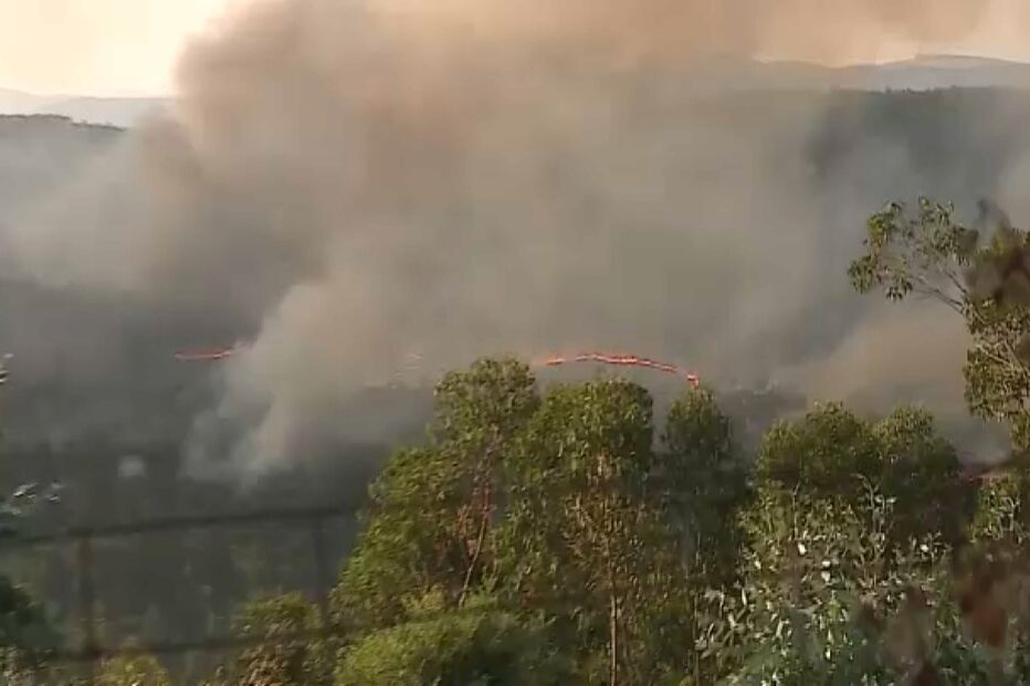 Incêndio florestal deflagra em Arouca