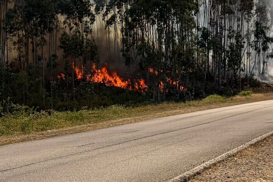 Quatro meios aéreos e mais de 80 operacionais combatem incêndio em Alfena