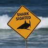 <![CDATA[ Ataque de tubarão mata pescador nas águas da Austrália  ]]>