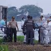 <![CDATA[ Oito jovens encontrados mortos dentro de sacos de 