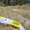 <![CDATA[ Homem encontrado morto em pinhal em Montemor-o-Vel