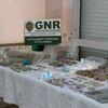 11 detidos em operação da GNR em Paços de Ferreira
