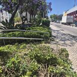 Local do atropelamento em Albufeira
