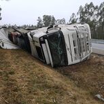 Camião de transporte de veículos despista-se na A1