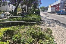 Mulher morre e homem fica gravemente ferido em atropelamento em Albufeira