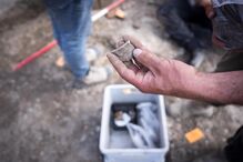 Descobertas as maiores termas romanas dos Países Baixos com pormenores de luxo