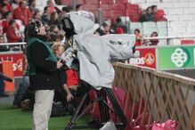 Autoridade da Concorrência trama Benfica nos direitos televisivos