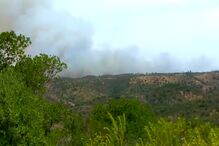 Incêndio em Loulé obriga a evacuar casas e ao corte da EN2. Mais de 100 operacionais e nove meios aéreos no terreno