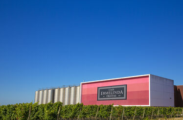 CASA ERMELINDA FREITAS - Fotografias (8).jpg