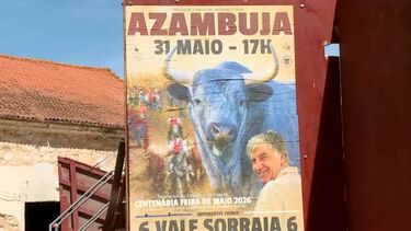 Touro solta-se e fere pelo menos três pessoas na Azambuja. Animal já foi capturado