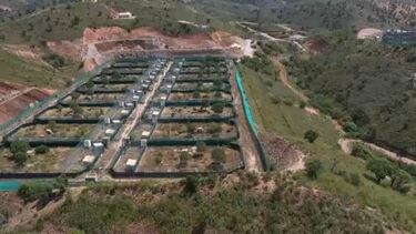 Especialistas internacionais destacam trabalho feito por equipa algarvia na preservação do lince-ibérico