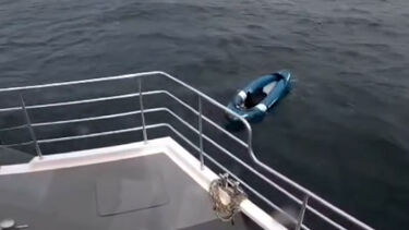 Cão resgatado após ficar à deriva no mar em caiaque 