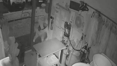 Imagens de videovigilância mostram encapuzado a assaltar lavandaria em Leça da Palmeira